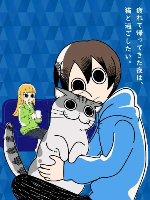 《关于养猫我一直是新手》：爆笑猫奴成长记，新手铲屎官的血泪史！