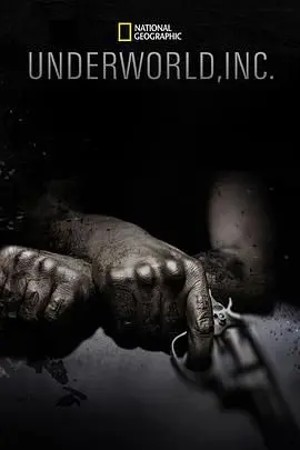 《黑市大企业第一季》：揭秘地下经济的运作，探索不为人知的黑暗角落