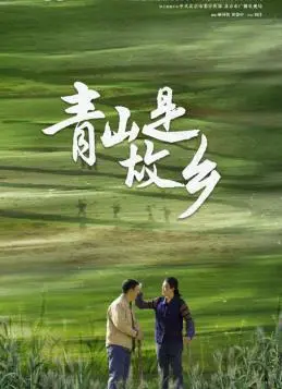 《青山是故乡》：重温故土情怀，寻找记忆深处的美好与感动！